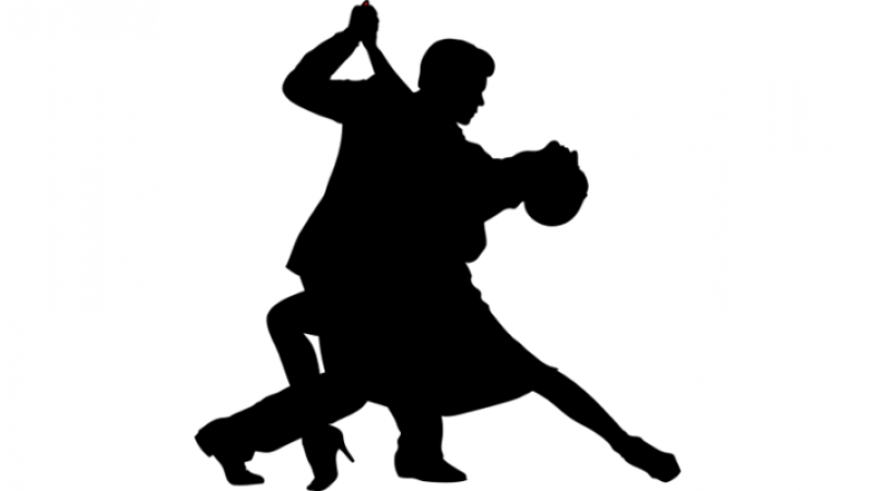 (2)danse 3.png